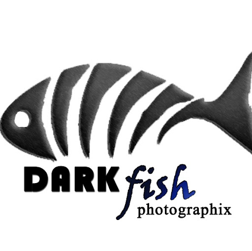 Jessica Fish Photo 15