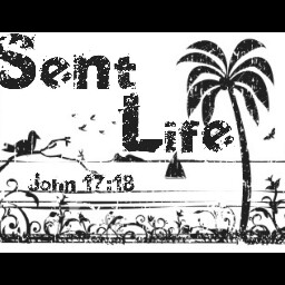 Paul Phipps Photo 16