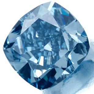 David Visser Photo 17