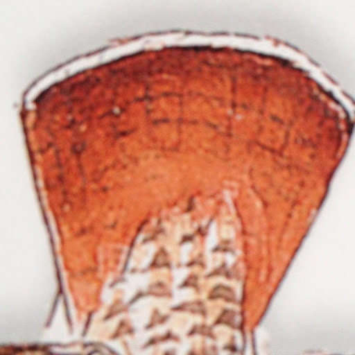 Timothy Welch Photo 11