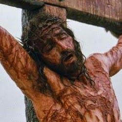 Francis Mills Photo 30