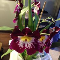 Mary Schafer Photo 45