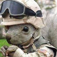 Janice Faulkner Photo 24