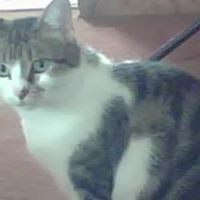 Sandra Helm Photo 24