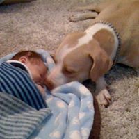 Debbie Wyatt Photo 15