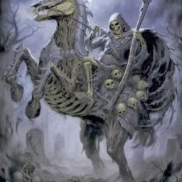 Joseph Connell Photo 26