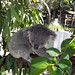 Dianne Hill Photo 36