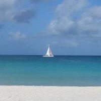 Ann Young Photo 16