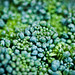 Crystal Farmer Photo 37