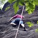 Jason Stover Photo 43