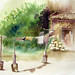 Sam Tsai Photo 4
