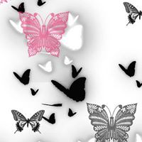 Deborah Comstock Photo 5