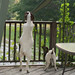 Jeannie May Photo 27