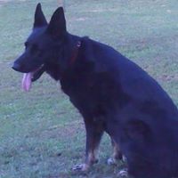 Frances Hooper Photo 5