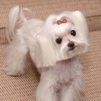 Janie Turner Photo 39