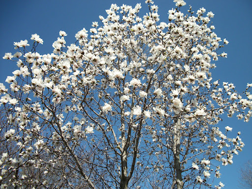 Marjorie Green Photo 31