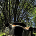 Christine Halvorsen Photo 14