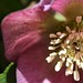Judith Ray Photo 11