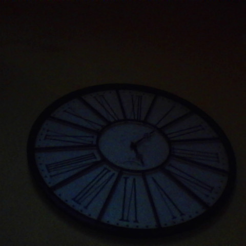 Michele Meier Photo 12