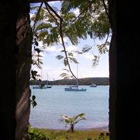 Dorothy Nicholson Photo 24