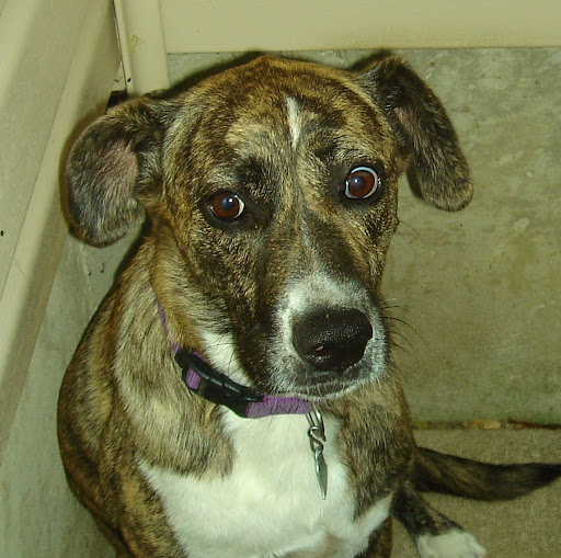 Joseph Isaac Photo 48