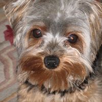 Janice Pettit Photo 9