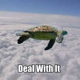 Morgan Jones Photo 11