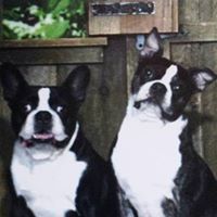 Terry Schultz Photo 14 Terry Schultz Photo 14