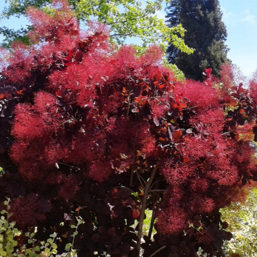 Michelle Bailey Photo 12