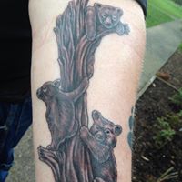 Justin Robinett Photo 9