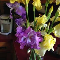 Betty Sanders Photo 14