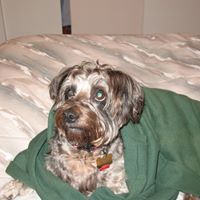 Pauline Henson Photo 13