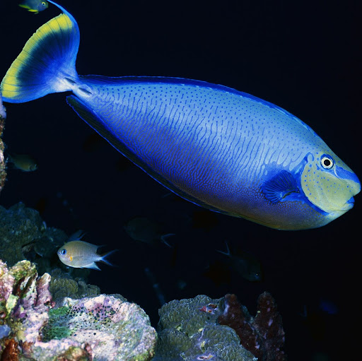 Jason Madison Photo 36