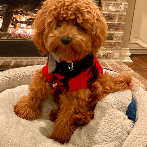 Amy Gillett Photo 19