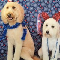 Ellen Marshall Photo 14