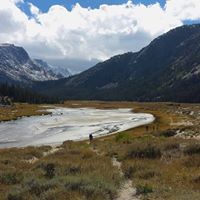 Nicholas Lynch Photo 15 Nicholas Lynch Photo 15