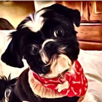 Laurie Mooney Photo 20