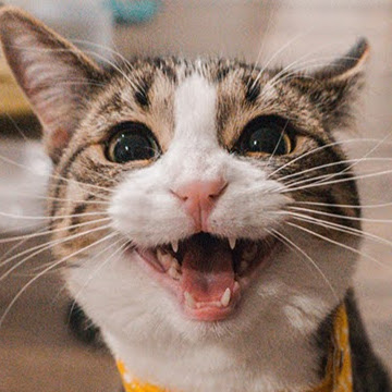 Xiaowen Chen Photo 2