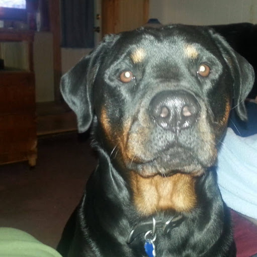 Jennifer Tucker Photo 58