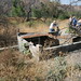 Carl Harrell Photo 14