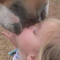 Howard Garren Photo 3