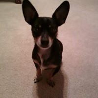 Mark Elmore Photo 12