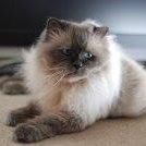 Nancy Mccollum Photo 11