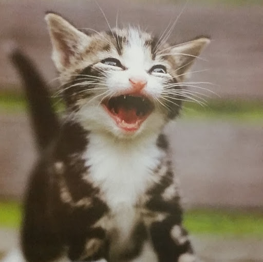 Crystal Walter Photo 16