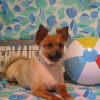 Nancy Speer Photo 17