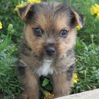 Mary Densmore Photo 8