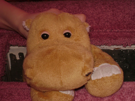 Kirstin Hansen Photo 3