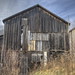 Jane Nesbitt Photo 25