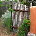 John Gaw Photo 19