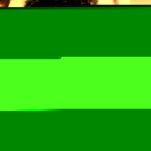 Ruth Johnson Photo 39 Ruth Johnson Photo 39